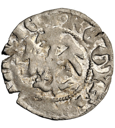 Poland. Ladislaus Jagiello, 1386-1434. Half Grosz no date, type 7, (c. 1406-1407), Krakow Mint - without the mint mark under the crown