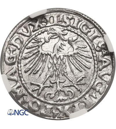 Poland / Lithuania, Zygmunt II August 1545-1572. Lithuanien Polgrosz, (1/2 Grosza) 1552, Vilnius - NGC MS 63