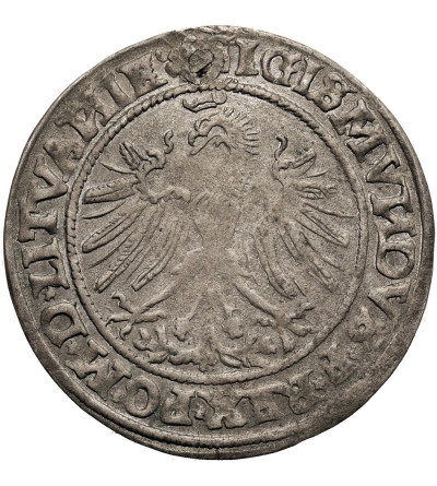 Polska. Zygmunt I, Stary 1506-1548. Grosz litewski 1535, Wilno (LITVANIE / LITVAN)
