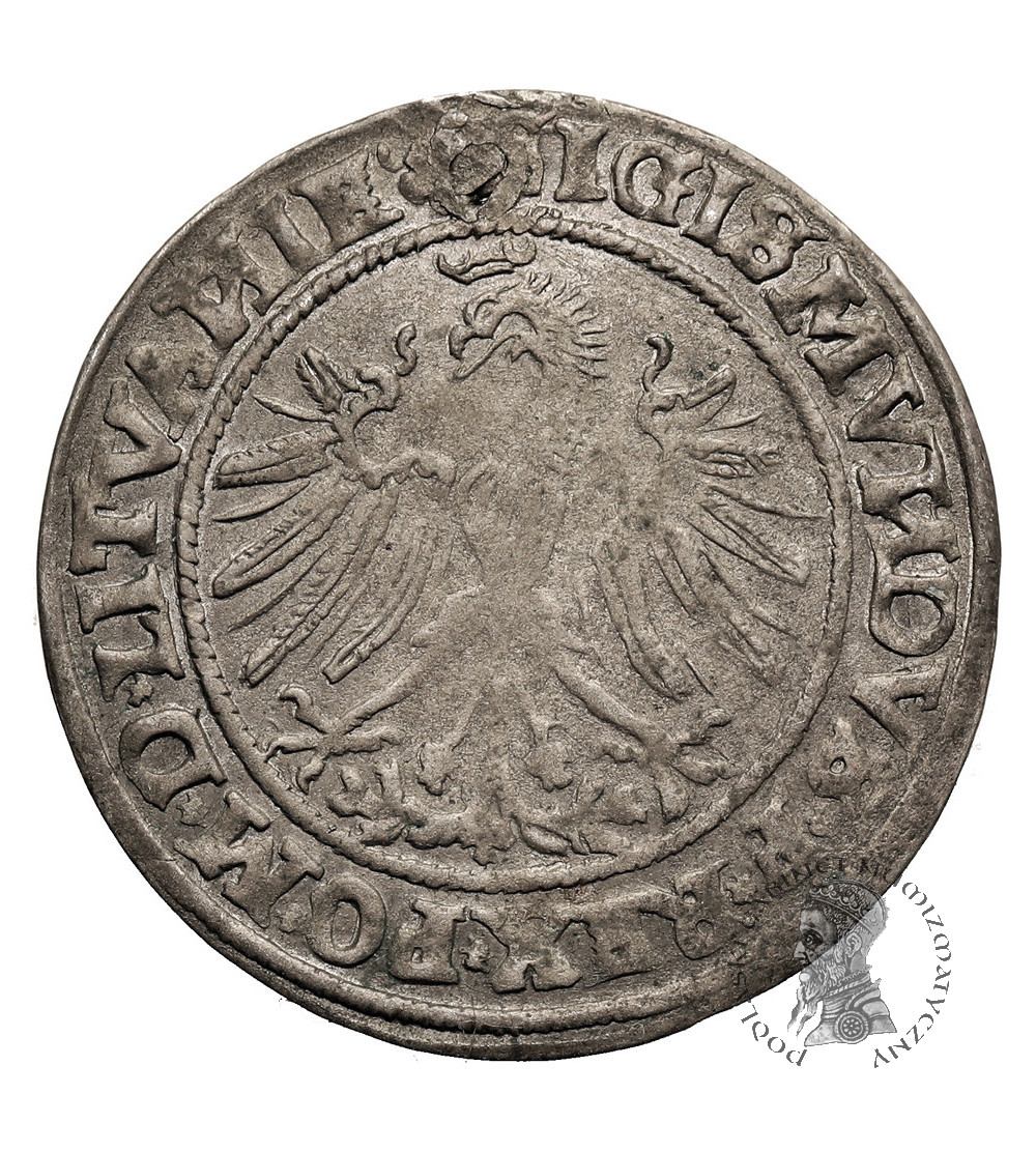 Polska. Zygmunt I, Stary 1506-1548. Grosz litewski 1535, Wilno (LITVANIE / LITVAN)