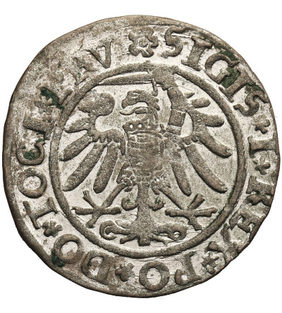 Polska. Zygmunt I Stary, 1506-1548. Grosz 1534, mennica Elbląg - PRV / ELBINK