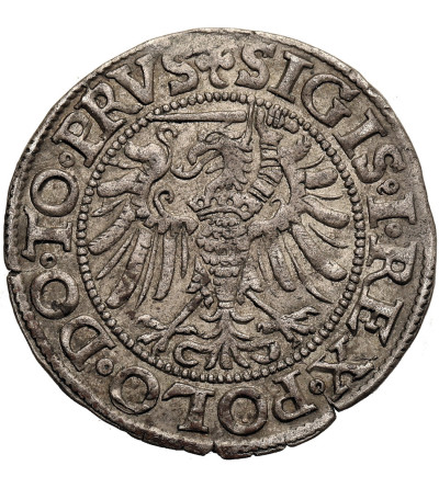 Polska. Zygmunt I Stary, 1506-1548. Grosz 1539, mennica Elbląg - PRVS / ELBING