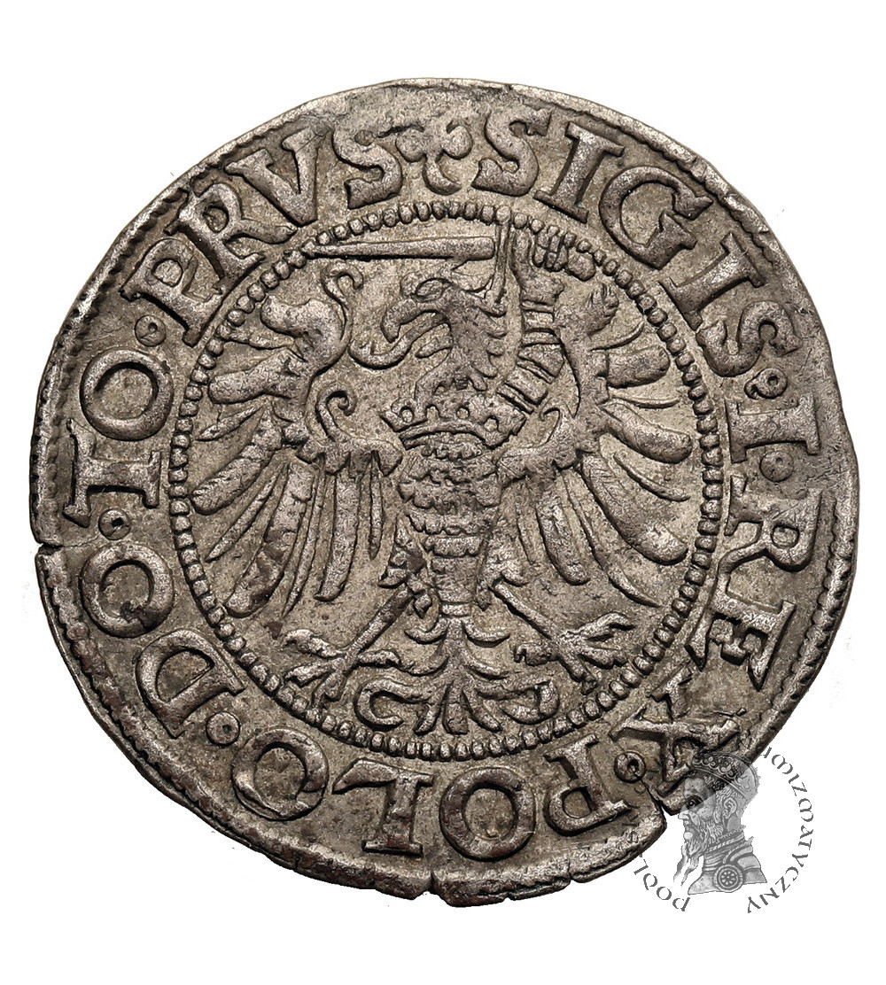 Polska. Zygmunt I Stary, 1506-1548. Grosz 1539, mennica Elbląg - PRVS / ELBING