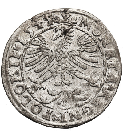 Polska. Zygmunt I, Stary 1506-1548. Grosz koronny 1545/4, Kraków - przebitka daty z 1544 (R*)