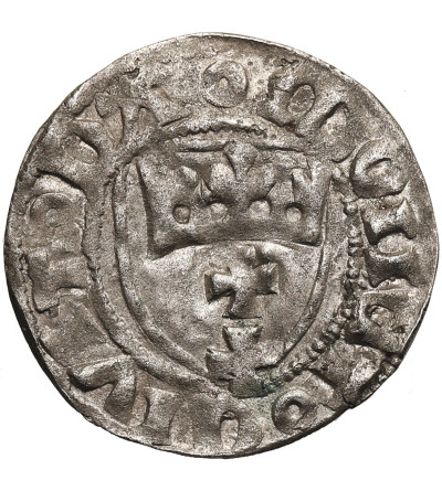 Polska. Kazimierz Jagiellończyk 1446-1492. Szeląg bez daty, mennica Gdańsk