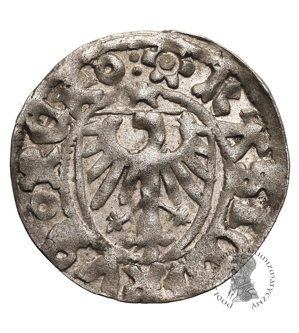 Poland. Casimir Jagiellon 1446-1492. Szelag (Schilling) ND, Gdansk (Danzig) Mint
