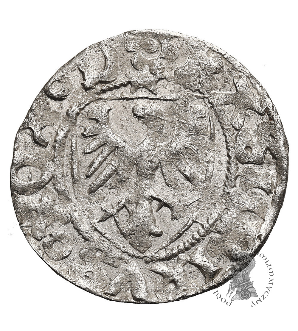 Polska. Kazimierz Jagiellończyk 1446-1492. Szeląg bez daty, mennica Gdańsk - błąd NONET zamias MONET
