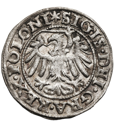 Poland. Zygmunt I Stary, 1506-1548. Szelag (Schilling) 1546, Gdansk (Danzig) Mint - POLONI / GEDANEN