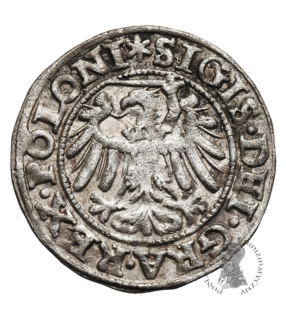 Poland. Zygmunt I Stary, 1506-1548. Szelag (Schilling) 1546, Gdansk (Danzig) Mint - POLONI / GEDANEN