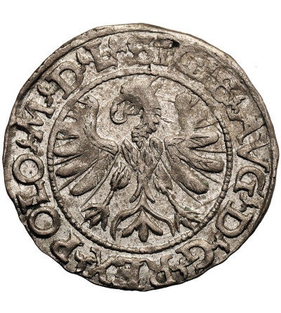 Polska / Litwa. Zygmunt II August 1545-1572. Półgrosz litewski 1566, Tykocin - duży herb Jastrzębiec, legenda L / LITV