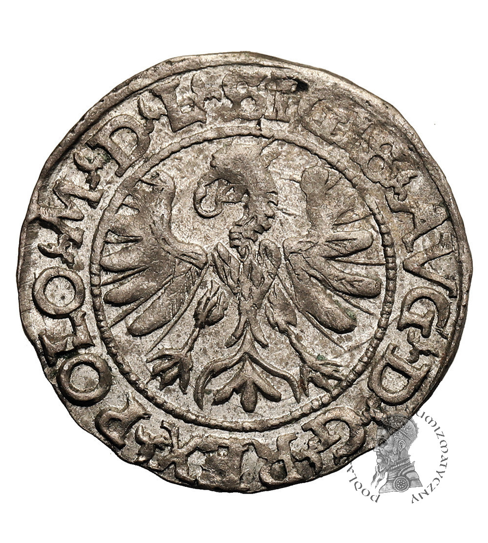 Poland / Lithuania. Zygmunt II August, 1545-1572. Lithuanian Polgrosz (1/2 Groschen) 1566, Tykocin Mint, Large coat of arms of Jastrzębiec, legend L / LITV