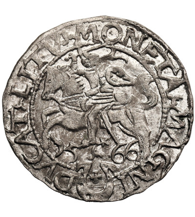 Polska / Litwa. Zygmunt II August 1545-1572. Półgrosz litewski 1566, Tykocin - duży herb Jastrzębiec, legenda L / LITV