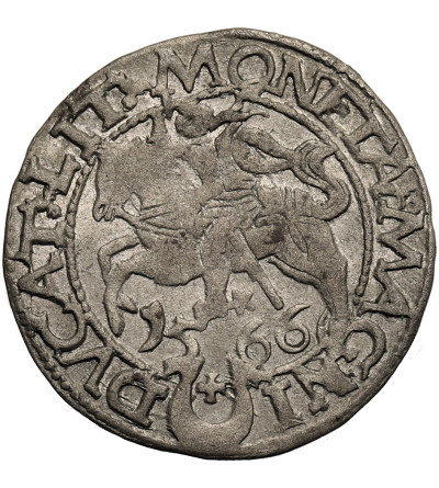 Polska / Litwa. Zygmunt II August 1545-1572. Półgrosz litewski 1566, Tykocin - duży herb Jastrzębiec, legenda L / LIT