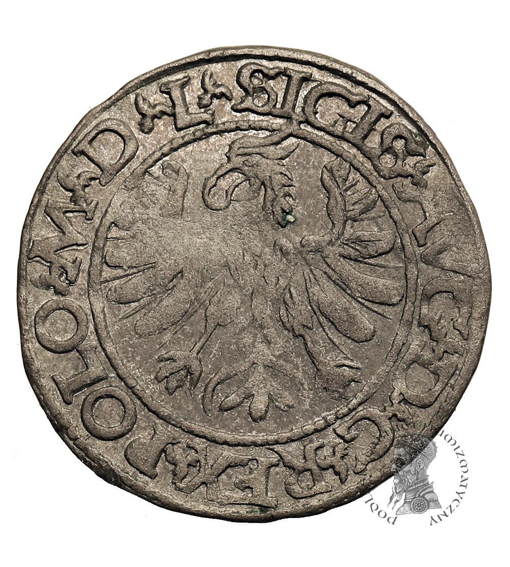 Poland / Lithuania. Zygmunt II August, 1545-1572. Lithuanian Polgrosz (1/2 Groschen) 1566, Tykocin Mint, Large coat of arms of Jastrzębiec, legend L / LIT