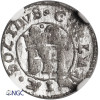 Kurlandia, Jakub Kettler 1642-1680. Szeląg bez daty, mennica Mitawa - NGC MS 63
