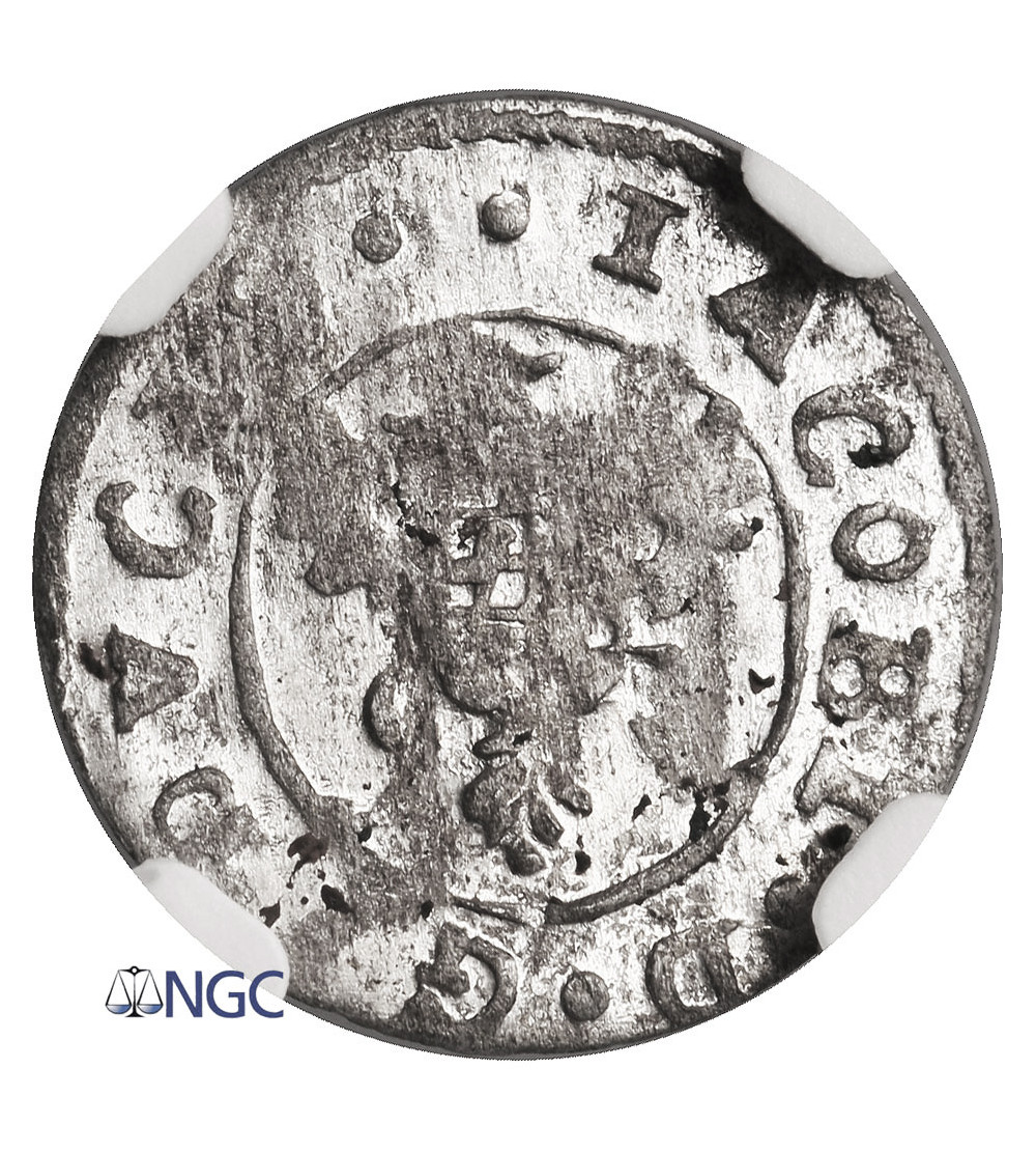 Kurlandia, Jakub Kettler 1642-1680. Szeląg bez daty, mennica Mitawa - NGC MS 63