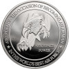 USA. Medal awarded upon attaining the rank of Airman, United States Air Force - Proof