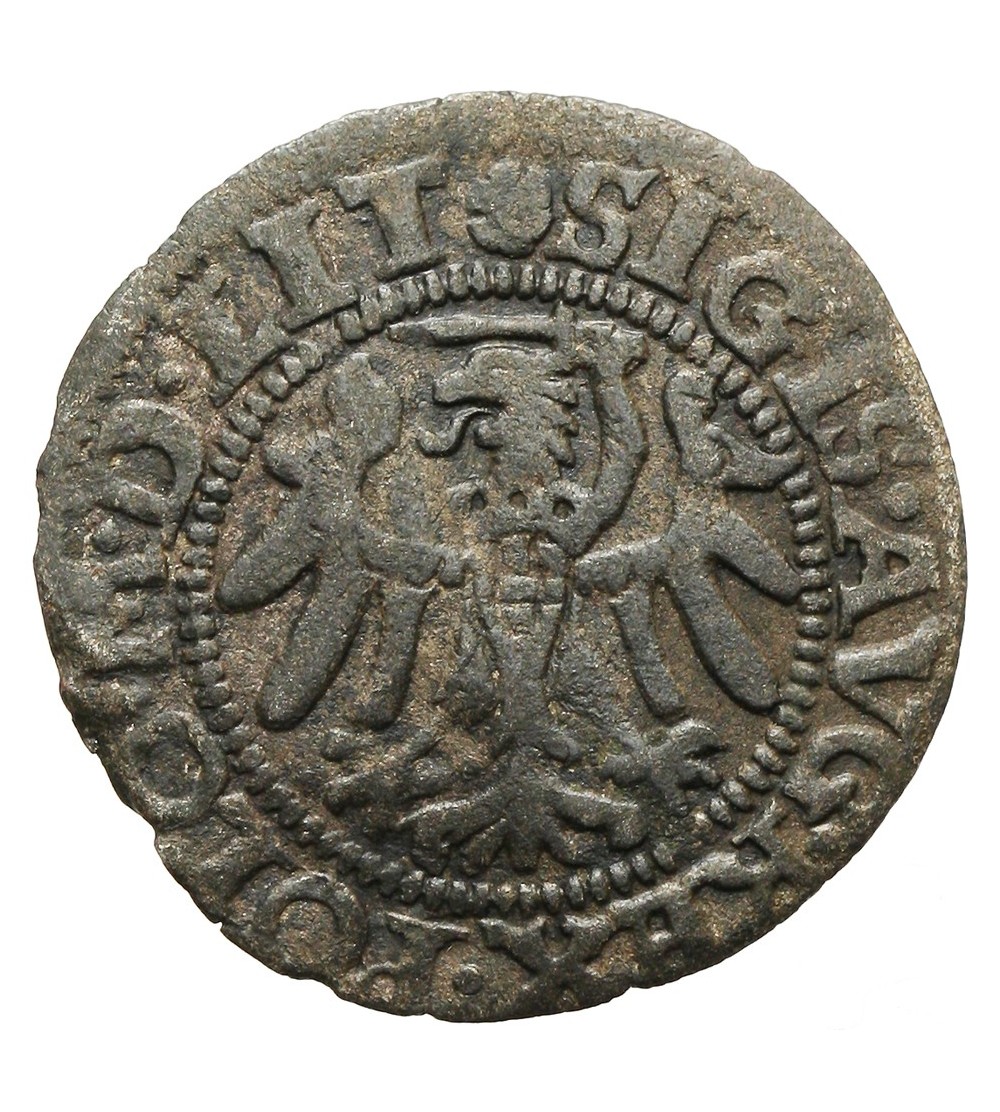 Szeląg 1551, Gdańsk Szeląg 1551, Gdańsk