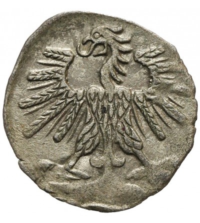 Poland / Lithuania, Zygmunt II August 1545-1572. Lithuanian Denar 1560, Vilnius Mint