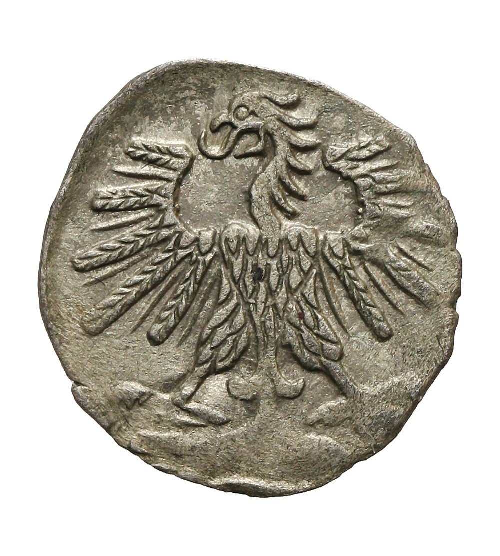 Polska, Zygmunt II August 1545-1572. Denar litewski 1560, mennica Wilno Polska, Zygmunt II August 1545-1572. Denar litewski 1560, mennica Wilno