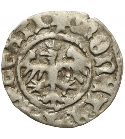 Poland. Polgrosz (1/2 Grossus) no date, Krakow Mint. John Albert 1492-1501