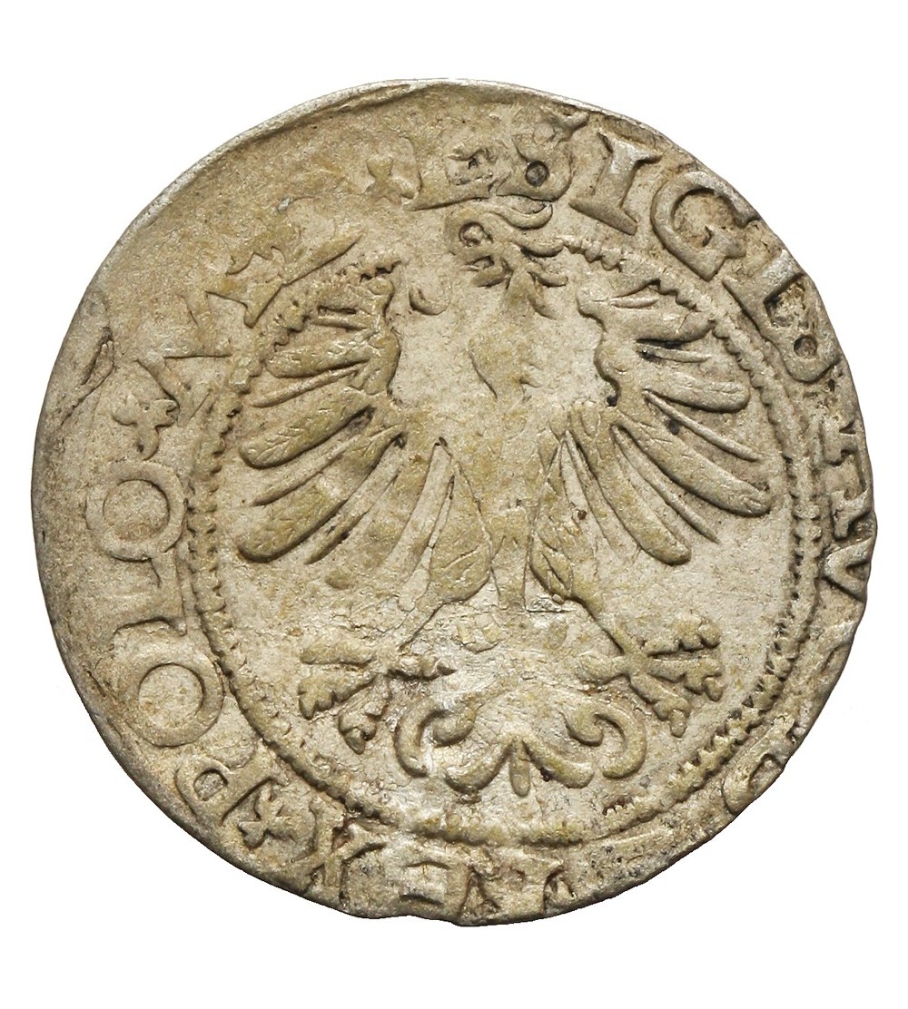 Półgrosz 1565, Wilno Półgrosz 1565, Wilno