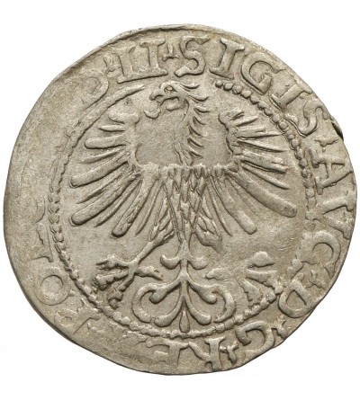 Poland / Lithuania, Zygmunt II August 1545-1572. Polgrosz (1/2 Grosza) 1564, Vilnius Mint - LI / LITV
