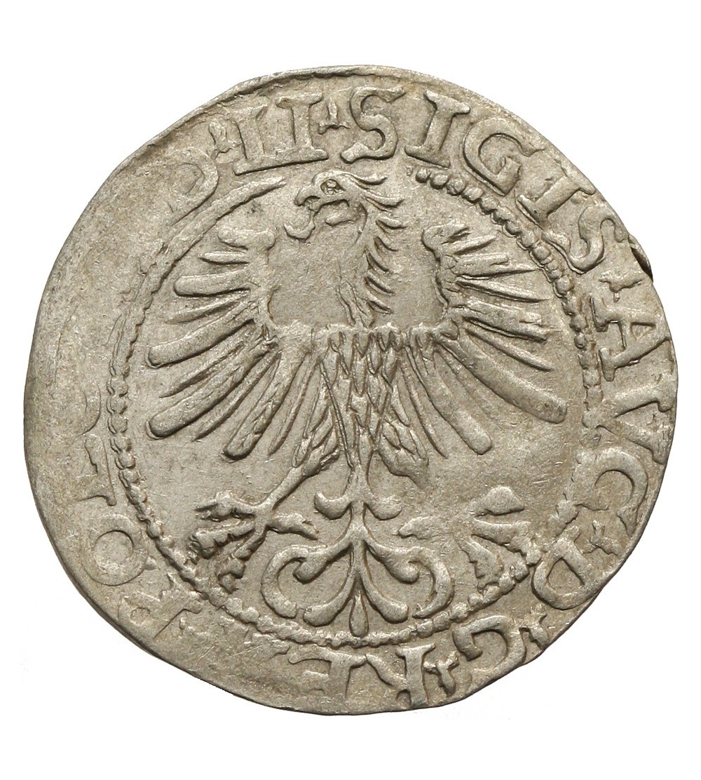 Półgrosz 1564, Wilno Półgrosz 1564, Wilno