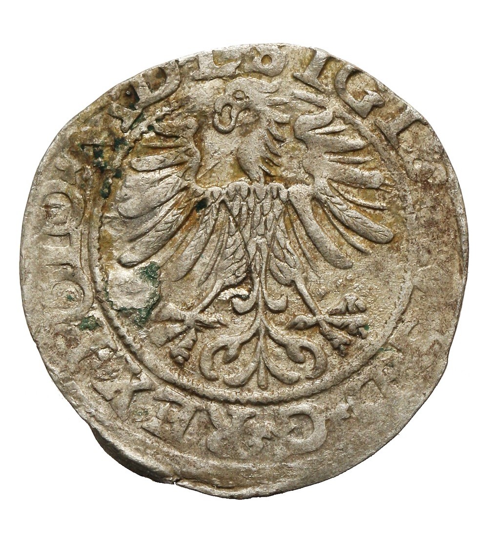 Poland, Zygmunt II August 1545-1572. Polgrosz (1/2 Grosza) 1565, Vilnius Mint - RRR