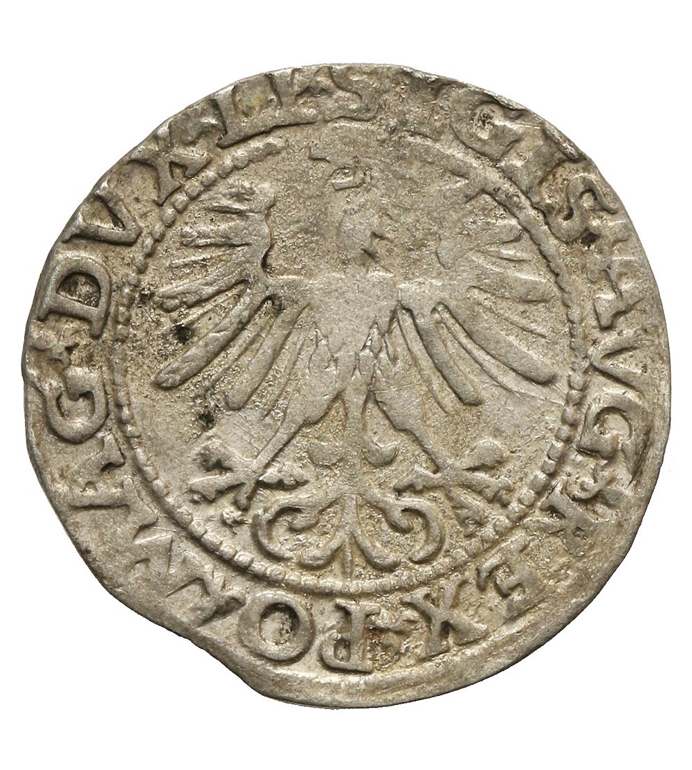 Półgrosz 1563, Wilno Półgrosz 1563, Wilno