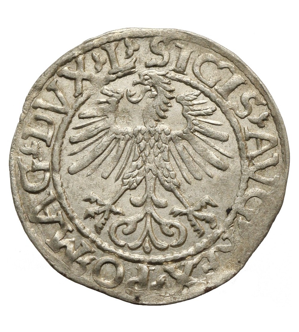 Półgrosz 1561, Wilno Półgrosz 1561, Wilno