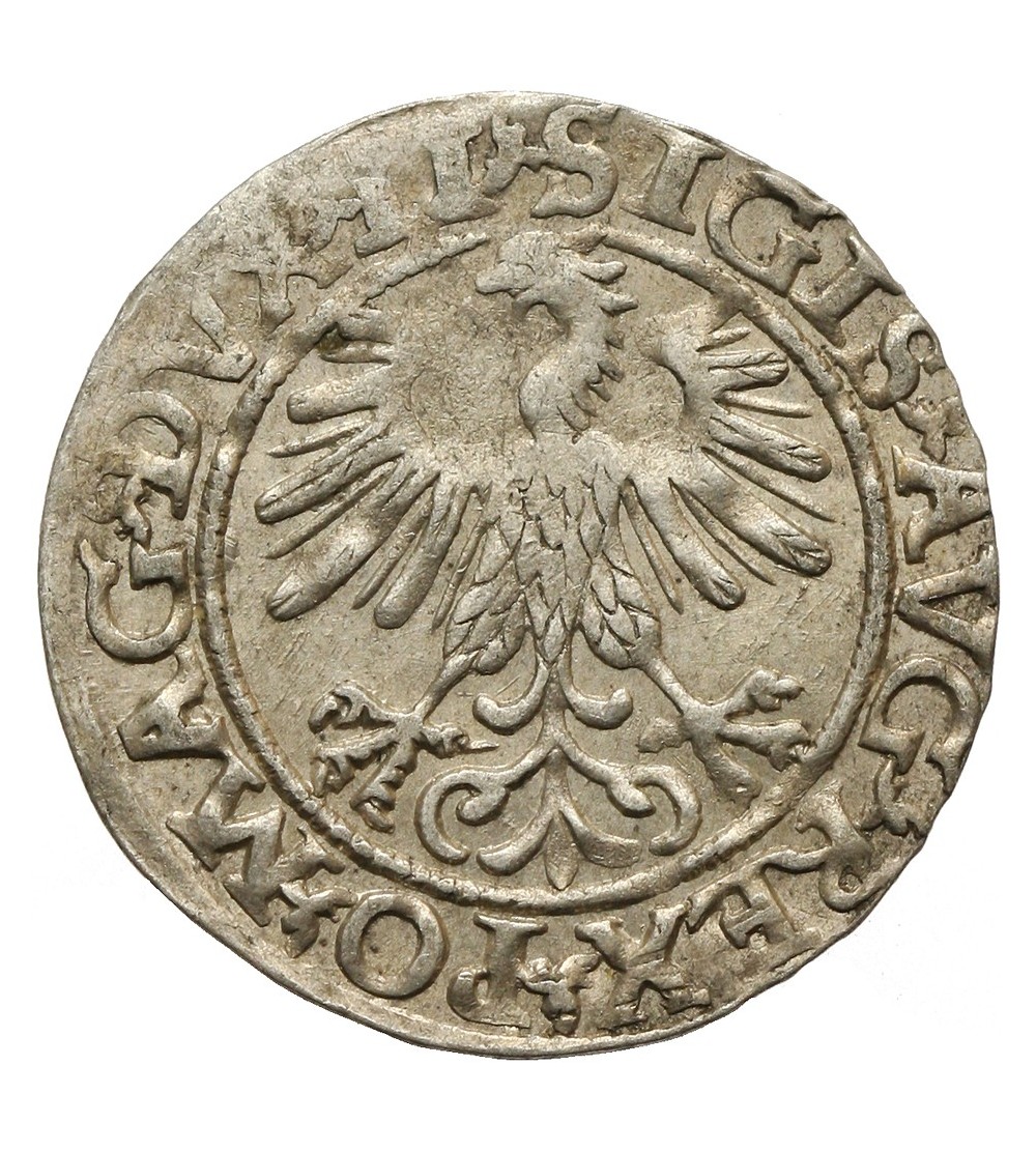 Półgrosz 1560, Wilno Półgrosz 1560, Wilno