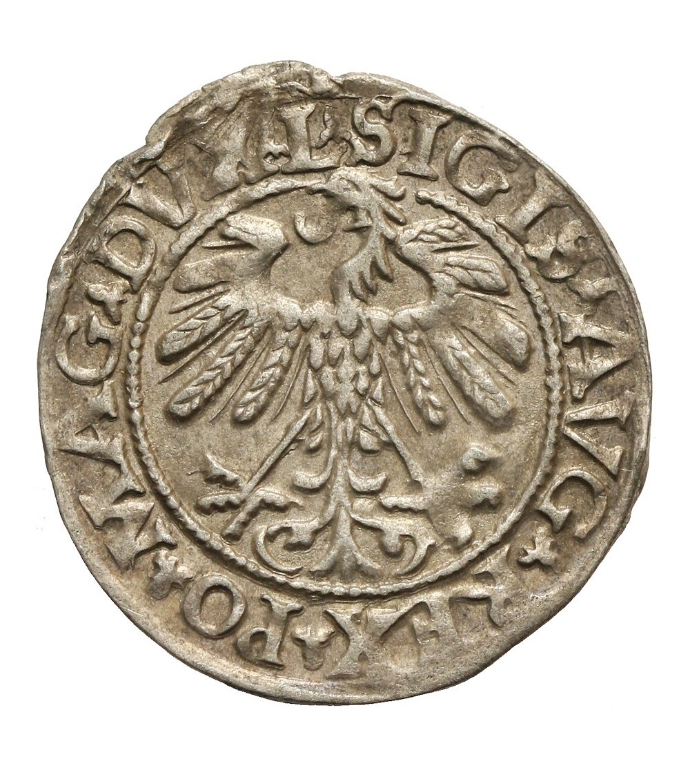 Półgrosz 1558, Wilno Półgrosz 1558, Wilno
