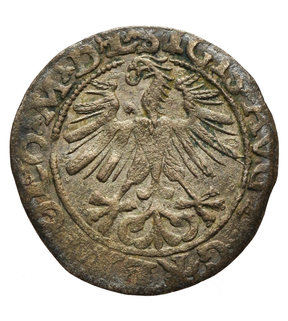 Półgrosz 1563, Wilno Półgrosz 1563, Wilno
