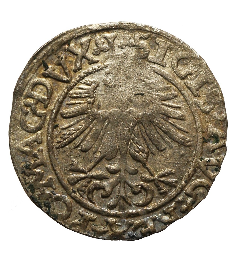 Półgrosz 1561, Wilno Półgrosz 1561, Wilno