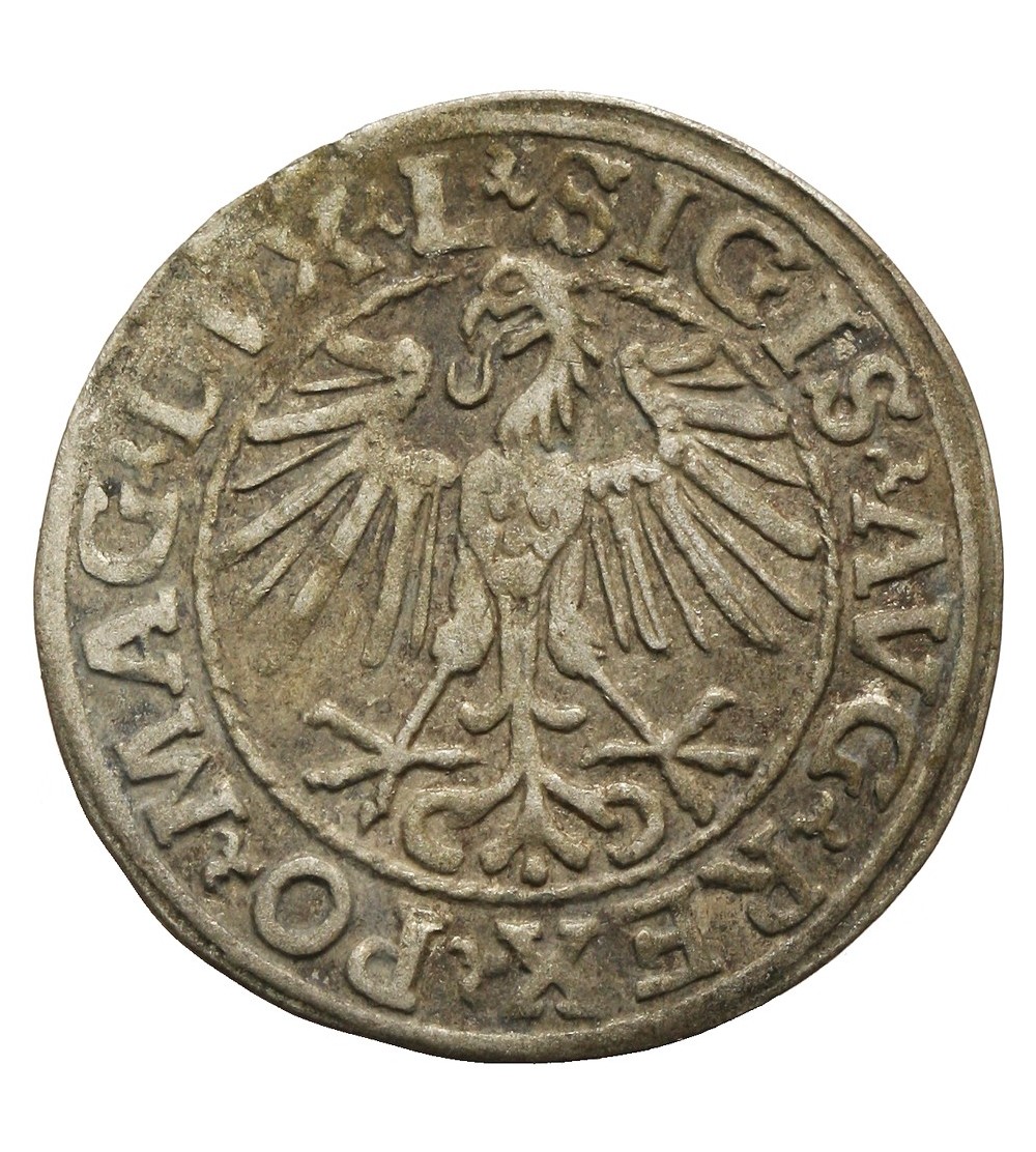 Półgrosz 1548, Wilno Półgrosz 1548, Wilno