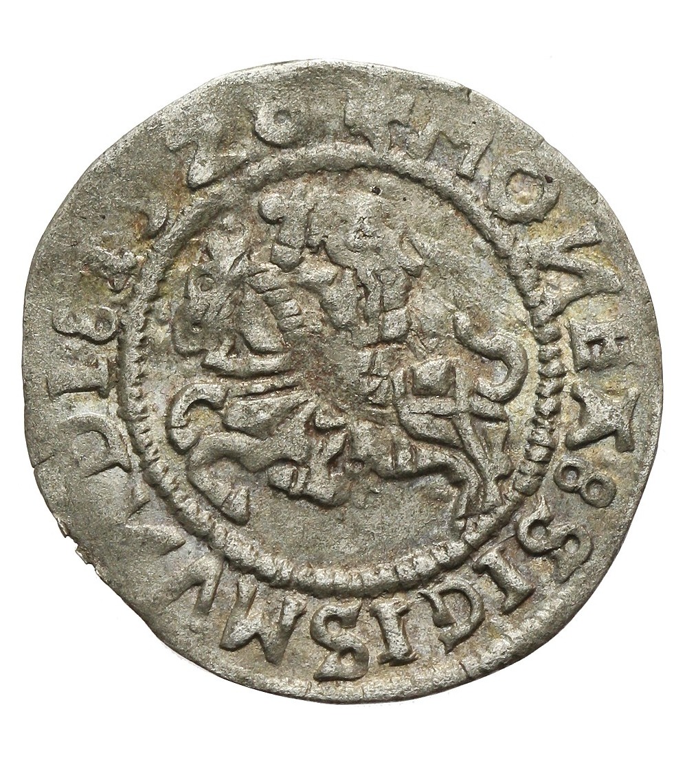Półgrosz 1528 Wilno Półgrosz 1528 Wilno