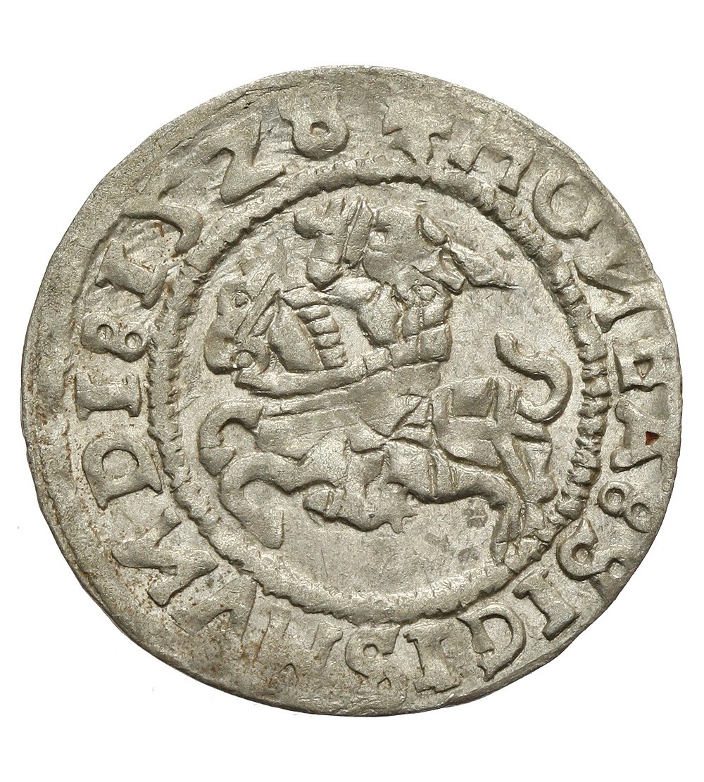 Półgrosz 1528, Wilno Półgrosz 1528, Wilno