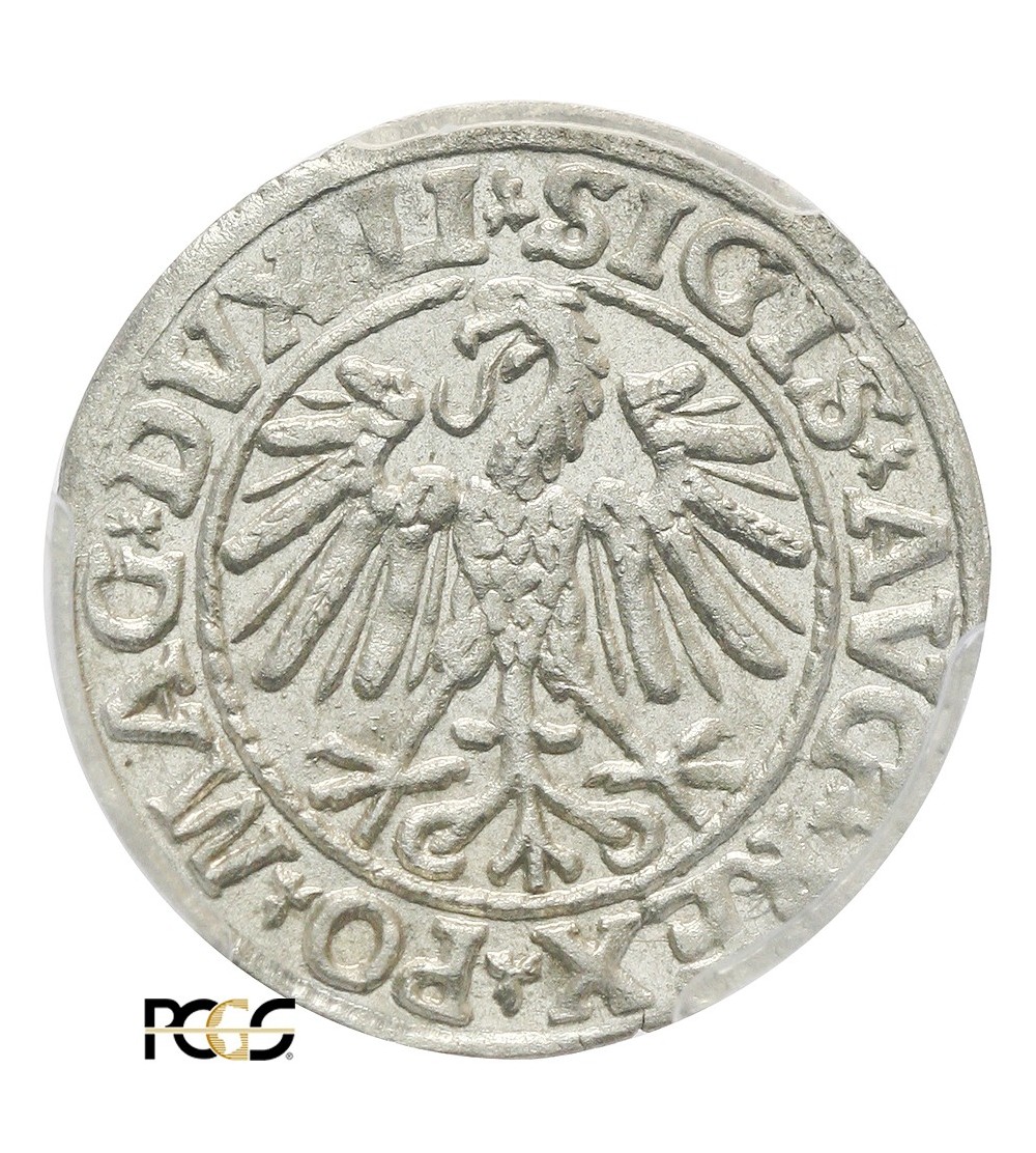 Polgrosz (1/2 Grosza) 1547, Vilnius Mint - PCGS MS 63 Polgrosz (1/2 Grosza) 1547, Vilnius Mint - PCGS MS 63