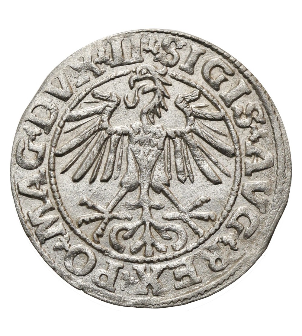 Polgrosz (1/2 Grosza) 1550, Vilnius Mint Polgrosz (1/2 Grosza) 1550, Vilnius Mint