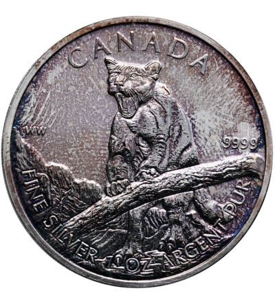 Canada 5 Dollars 2012 - Cougar