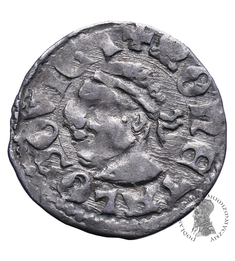 Polska / Węgry. Denar bez daty, Ludwik I Andegaweński 1342 / 1370-1382, jako król Polski. Polska / Węgry. Denar bez daty, Ludwik I Andegaweński 1342 / 1370-1382, jako król Polski.