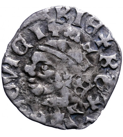 Polska / Węgry. Denar bez daty, Ludwik I Andegaweński 1342 / 1370-1382, jako król Polski