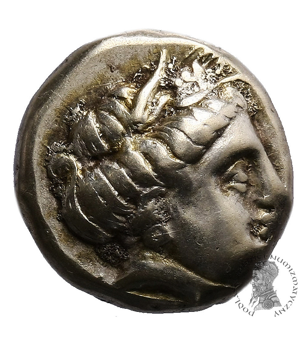 Grecja. Lesbos, Mitylena. Elektron Hekte 377-326 r. p.n.e. Grecja. Lesbos, Mitylena. Elektron Hekte 377-326 r. p.n.e.