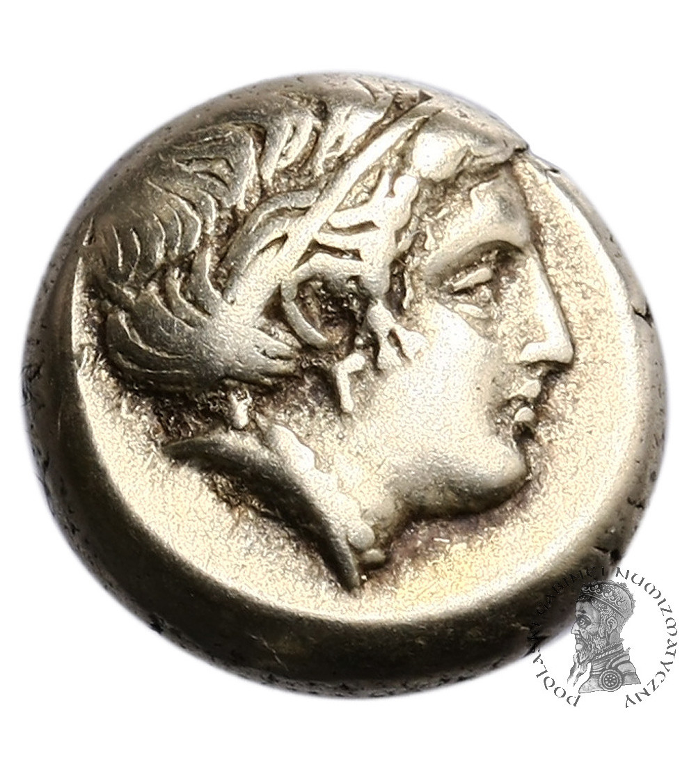 Grecja. Lesbos, Mitylena. Elektron Hekte 412-378 r. p.n.e. Grecja. Lesbos, Mitylena. Elektron Hekte 412-378 r. p.n.e.