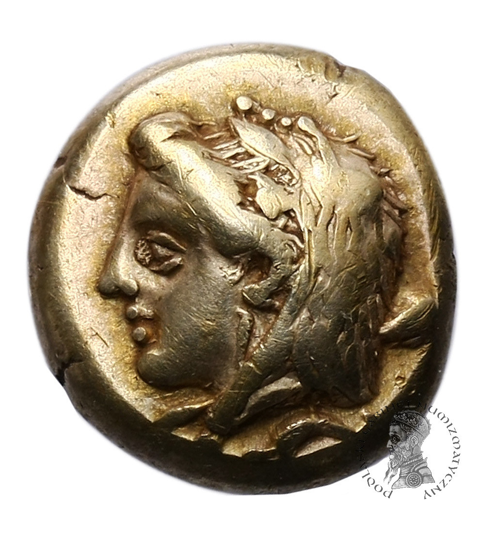 Grecja. Ionia Fokaja. EL Hekte 387-326 r. p.n.e. Grecja. Ionia Fokaja. EL Hekte 387-326 r. p.n.e.