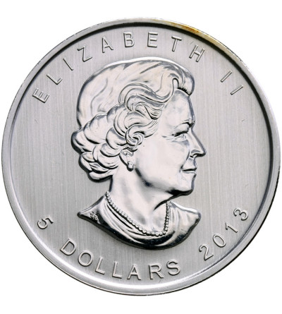 Kanada 5 dolarów 2013, bizon (platerowany złotem)