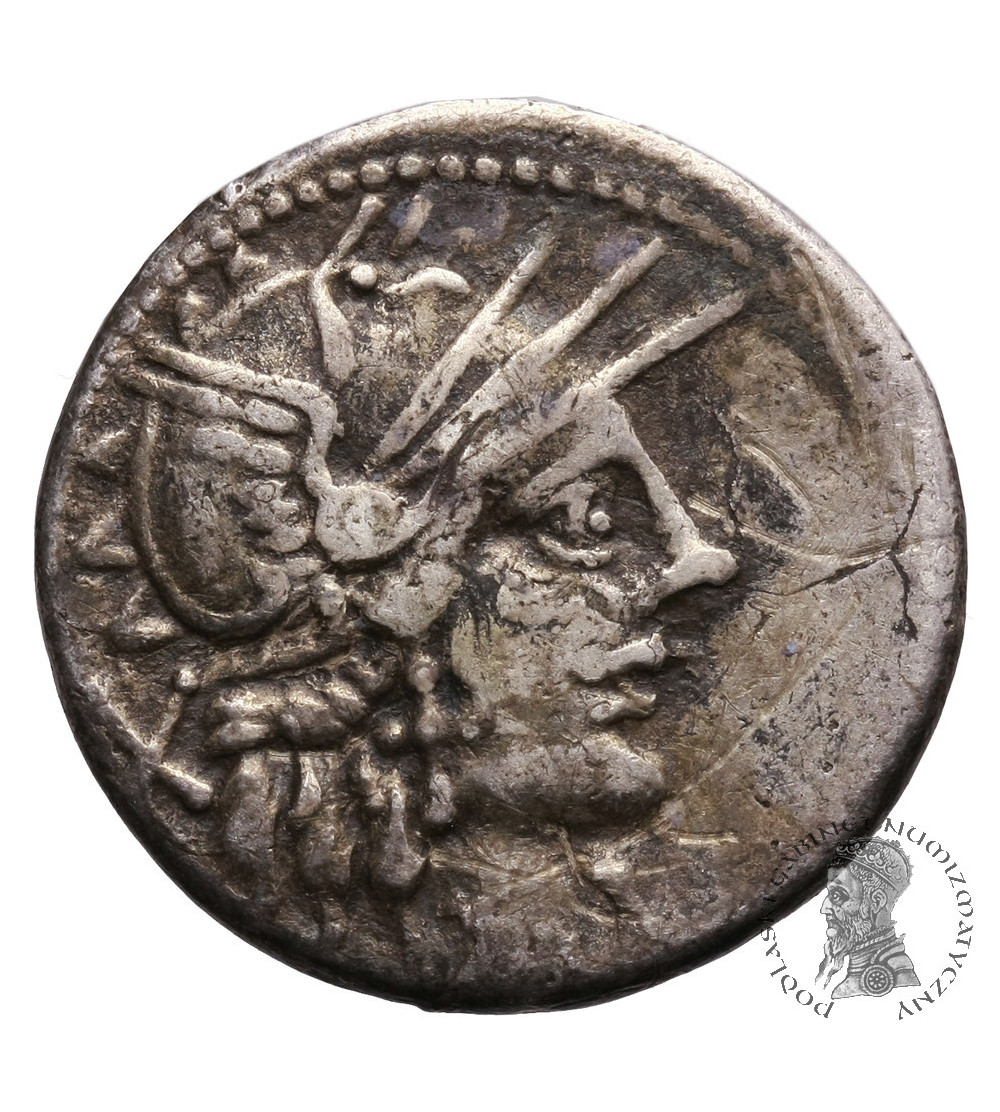 The Roman Republic. Cn. Carbo, AR Denarius 121 BC. Rome mint The Roman Republic. Cn. Carbo, AR Denarius 121 BC. Rome mint