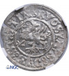Pomerania / Pommern, Bogislaw X 1478-1523. Shilling 1519, Stettin - NGC MS 64