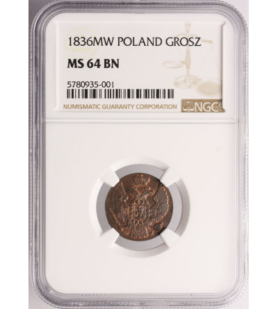 Polska, Królestwo Polskie 1815-1864. Grosz 1836 / MW, Warszawa, Mikołaj I - NGC MS 64 BN